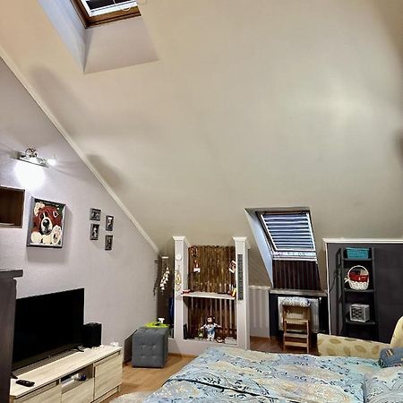 Schitterend Appartement In Het Centrum Van アムステルダム エクステリア 写真